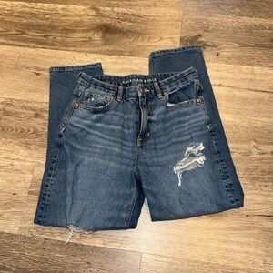 American Eagle Strigid Mom Jeans